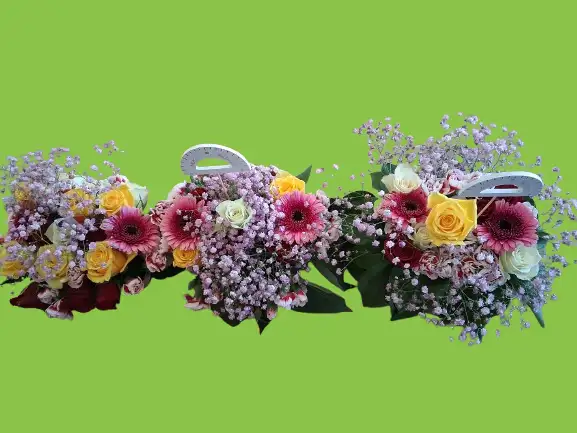 Amour de Maitresses (école maternelle Vimory)